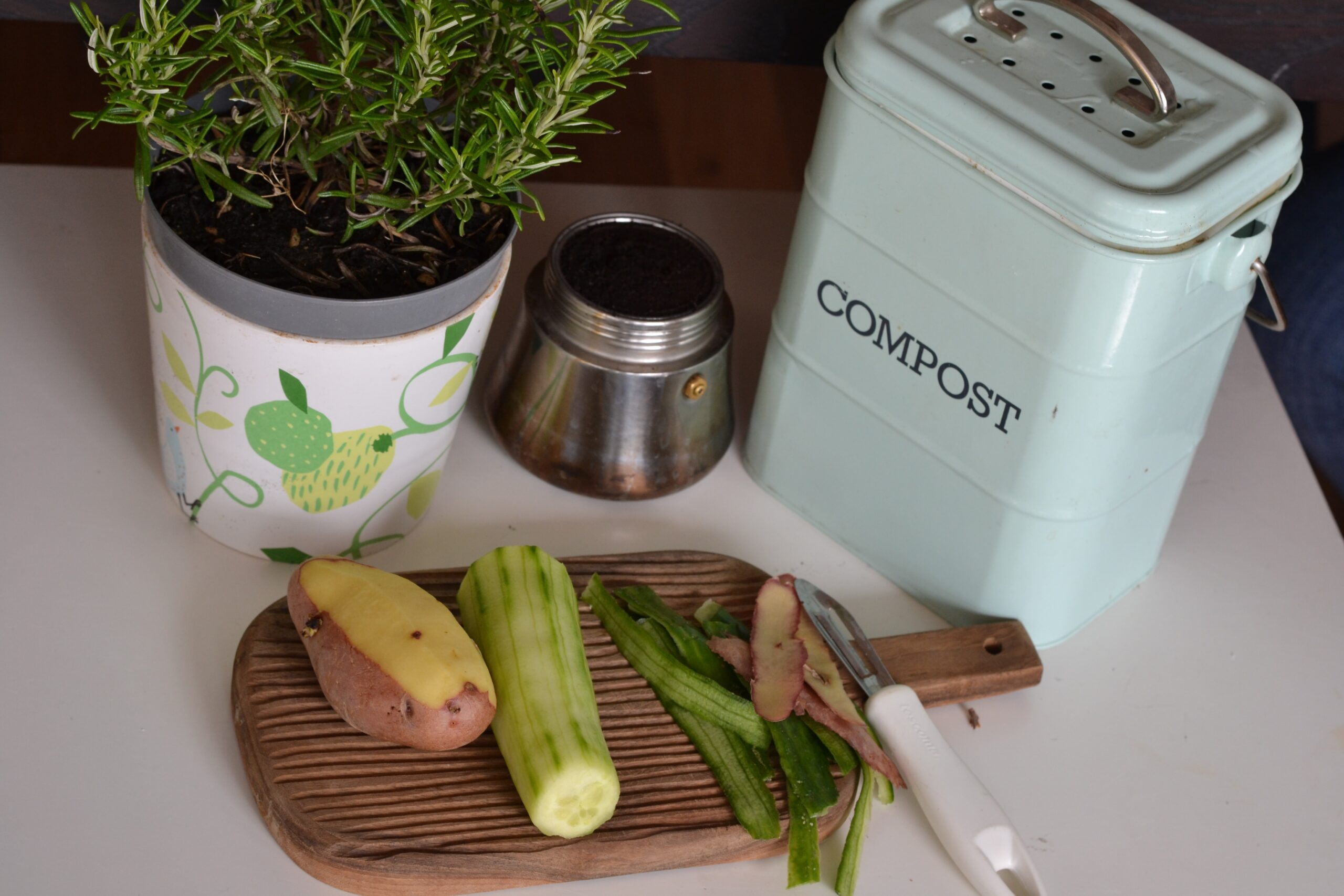 compost caddy 