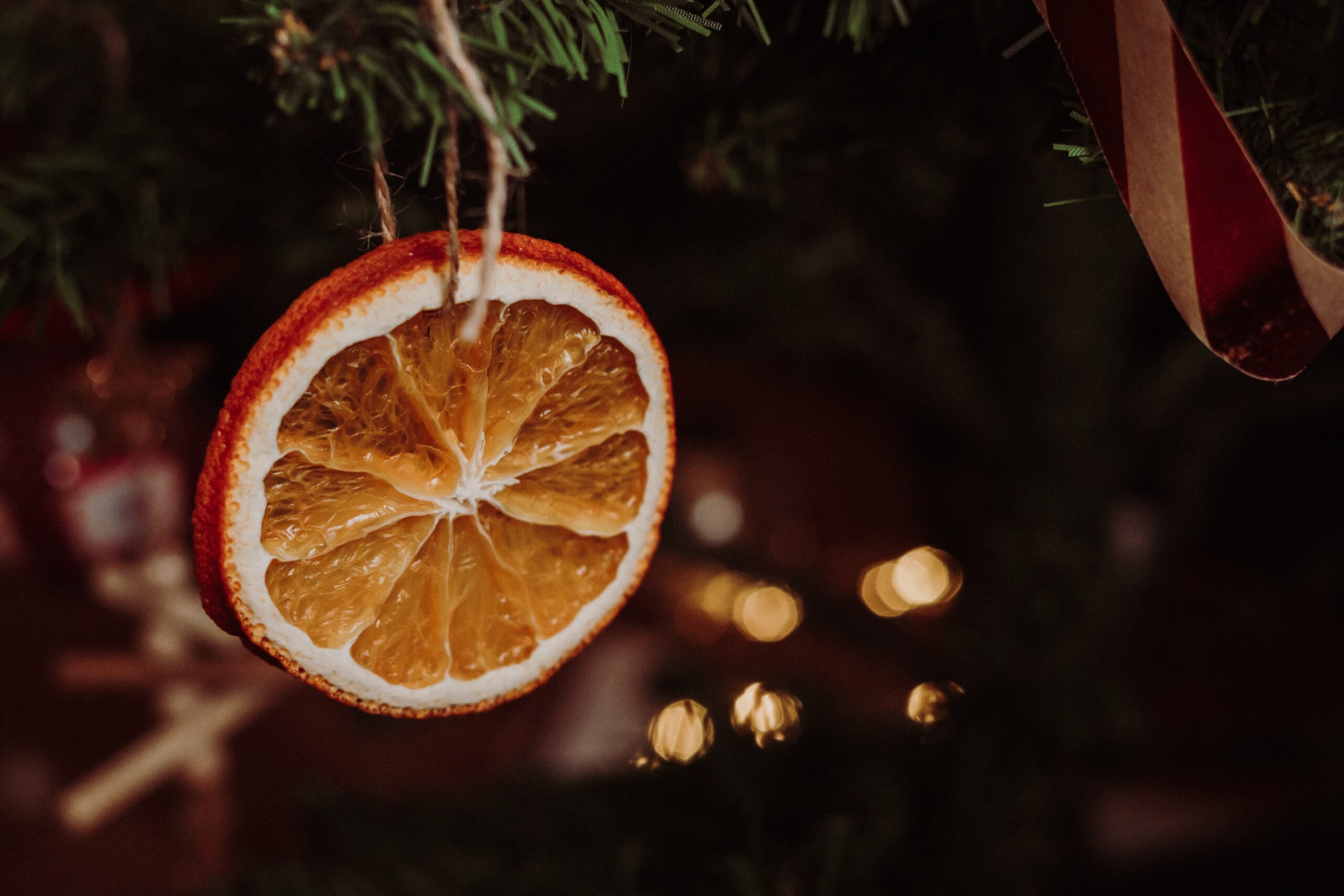 A festive orange slice hanging from a Christmas tree.