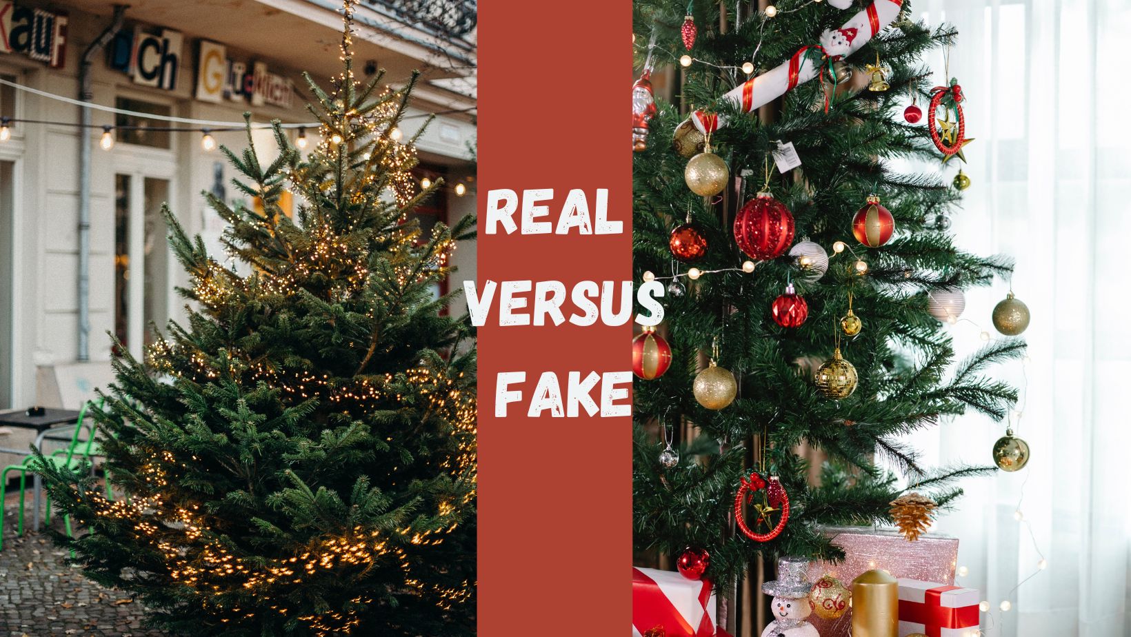 Explore the sustainable choice between real and fake Christmas trees, considering their impact on the environment and your budget.