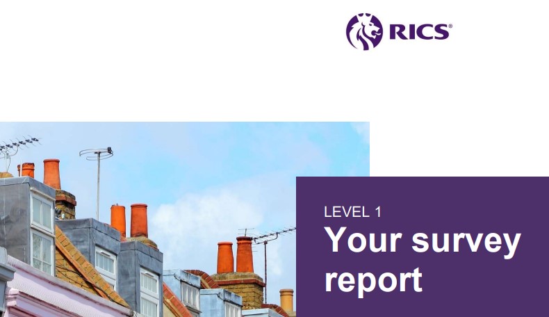 A brochure cover for 'Level 1 House Survey Report' by RICS, featuring a photograph of the rooftops of residential buildings.