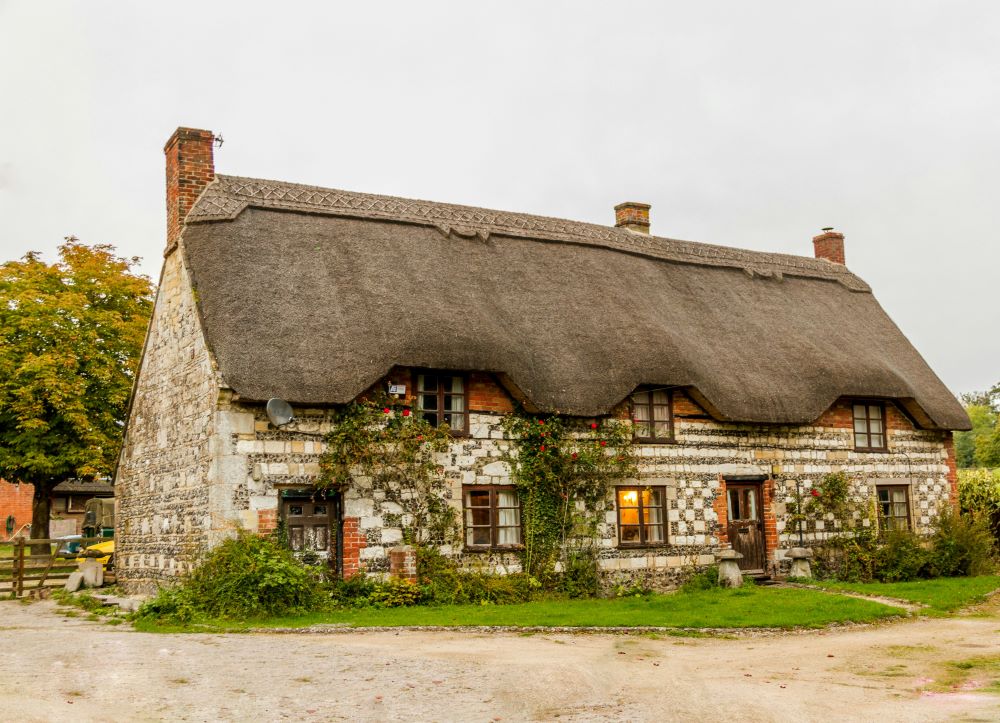 Traditional thatched-roof cottage in a rural setting, ideal for those considering house survey options.