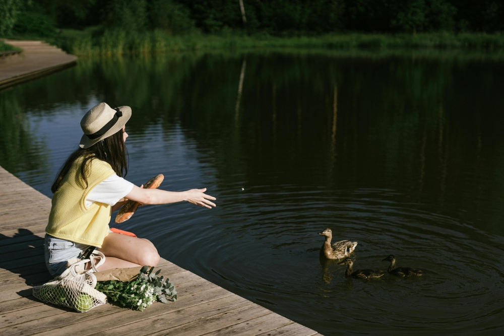 A woman sitting on a wooden dock feeds ducks in a calm pond. She has a tote bag and a bunch of flowers beside her.