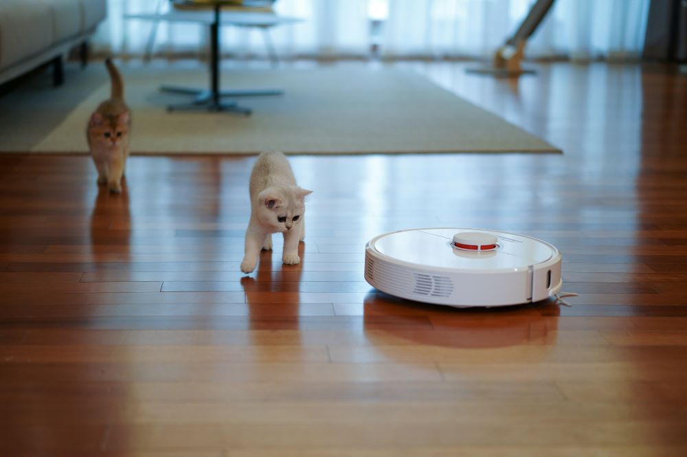 Two kittens on a wooden floor observe a white robotic vacuum cleaner moving across the room.