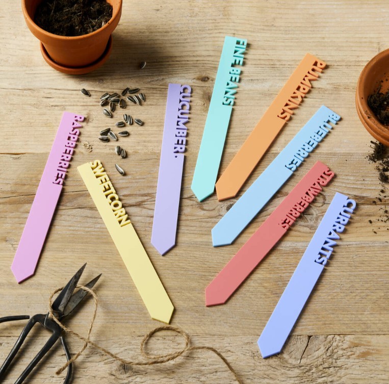 Pastel Everlasting Plant Labels