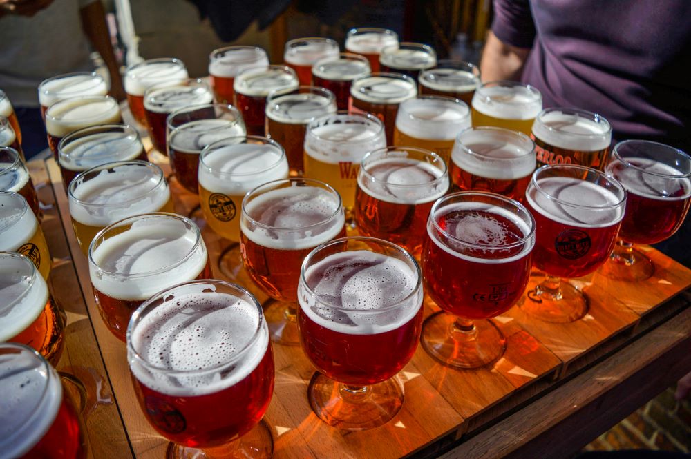 A table filled with numerous glasses of beer, each with a frothy head, arranged in rows.