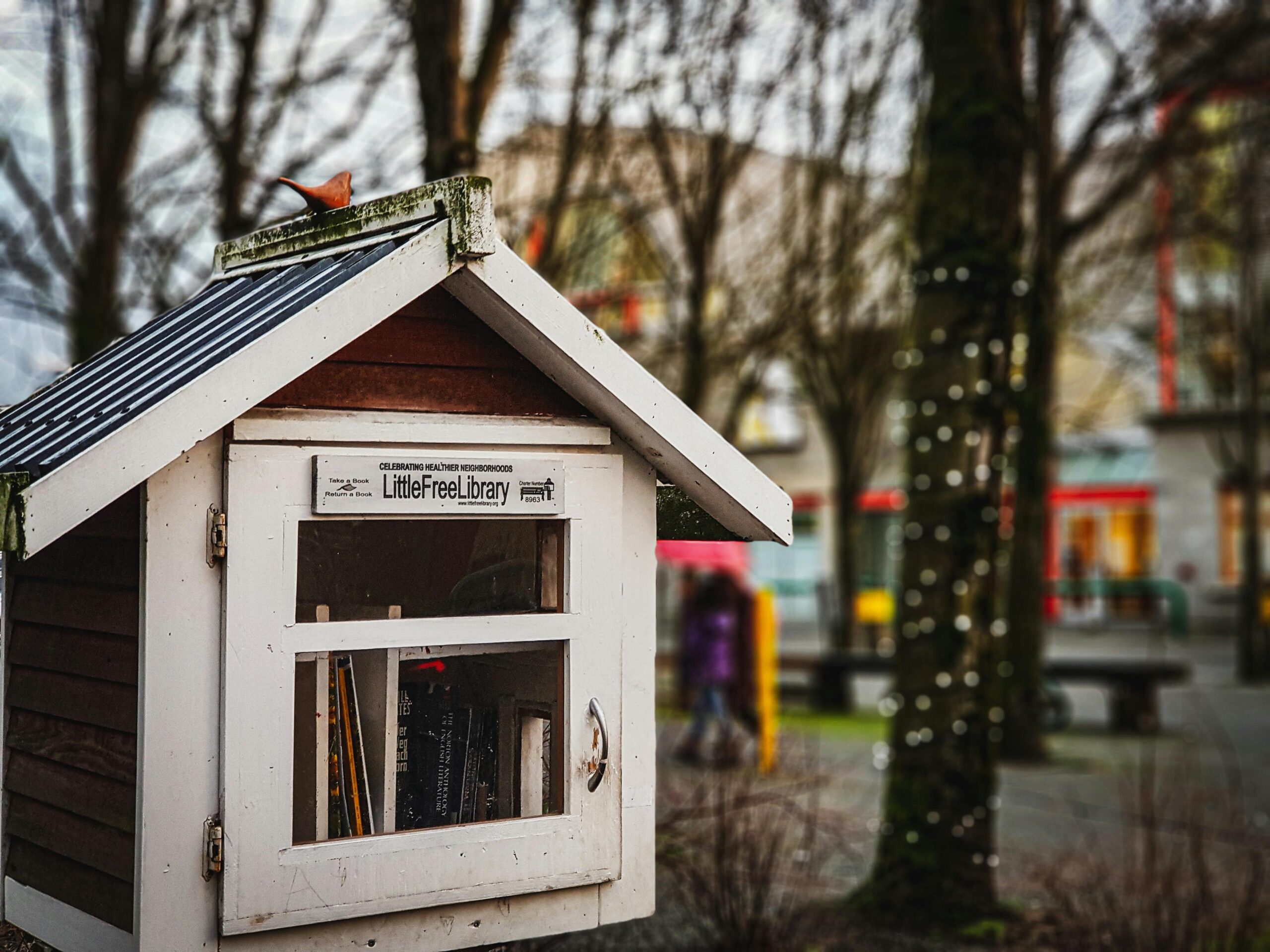 A small wooden Little Free Library stands outdoors with books inside, surrounded by trees and urban buildings in the background.