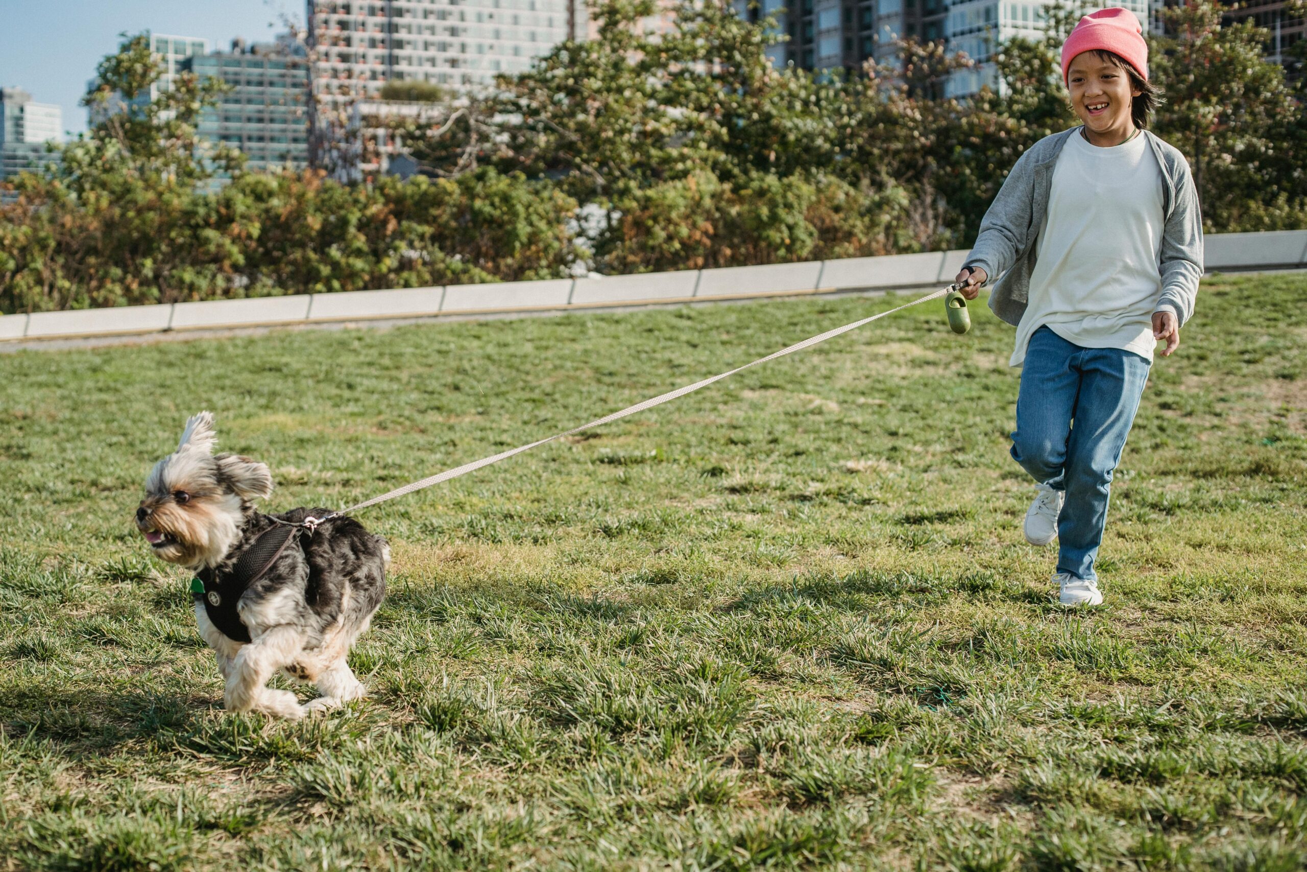 A child in a pink hat happily runs on grass while holding a leash attached to a small dog in a park with buildings in the background.