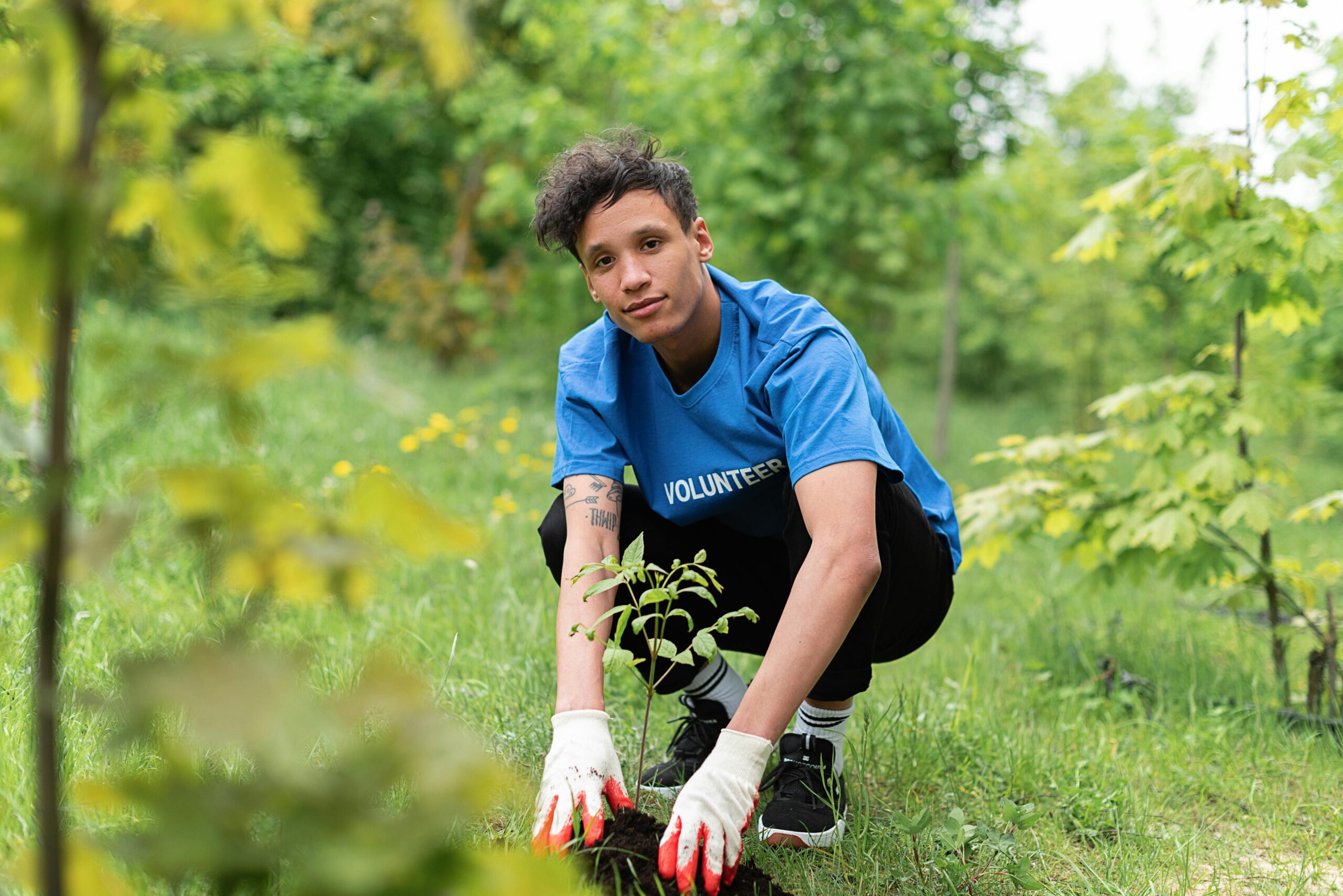 A person wearing a blue volunteer shirt and gloves is planting a sapling in a green outdoor setting.