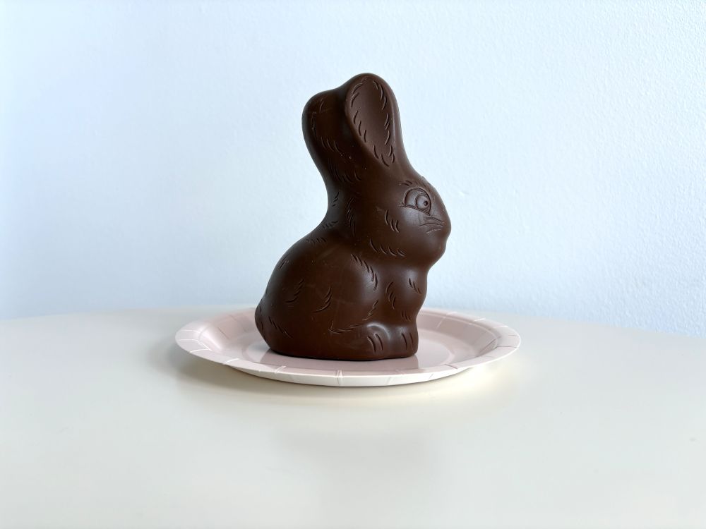 A chocolate bunny on a white paper plate sits on a light-colored surface against a pale blue background.