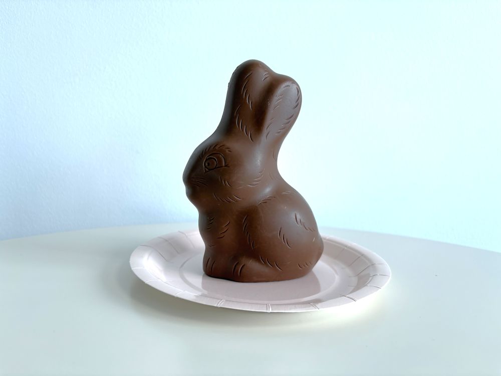 Chocolate bunny on a white paper plate against a light blue background.