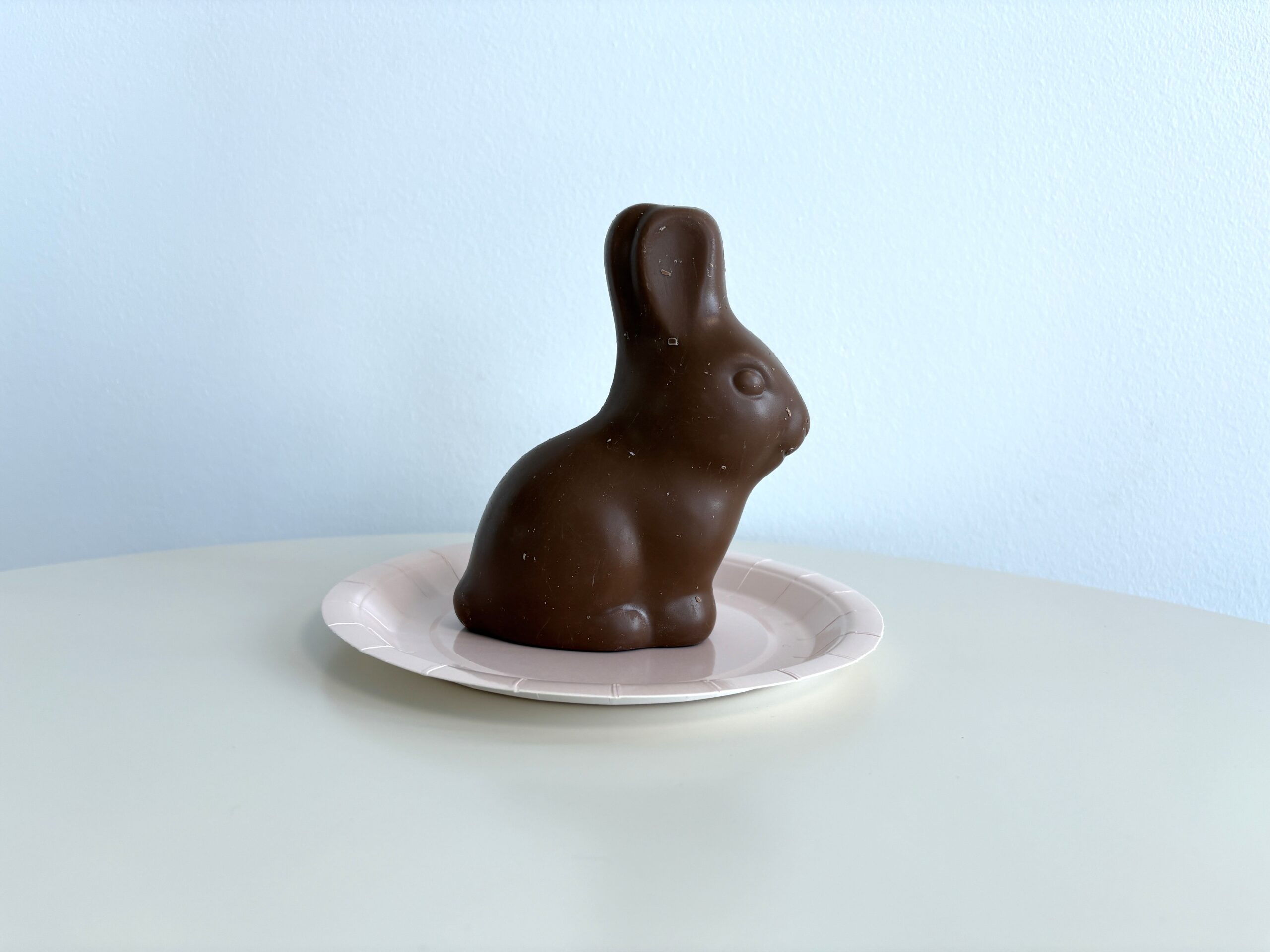 A chocolate bunny sits on a white paper plate against a light blue background.