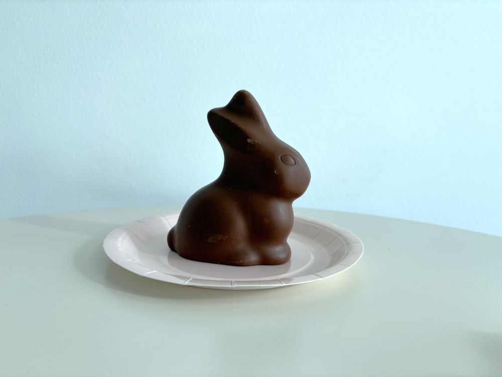 Chocolate bunny on a white paper plate against a light blue background.