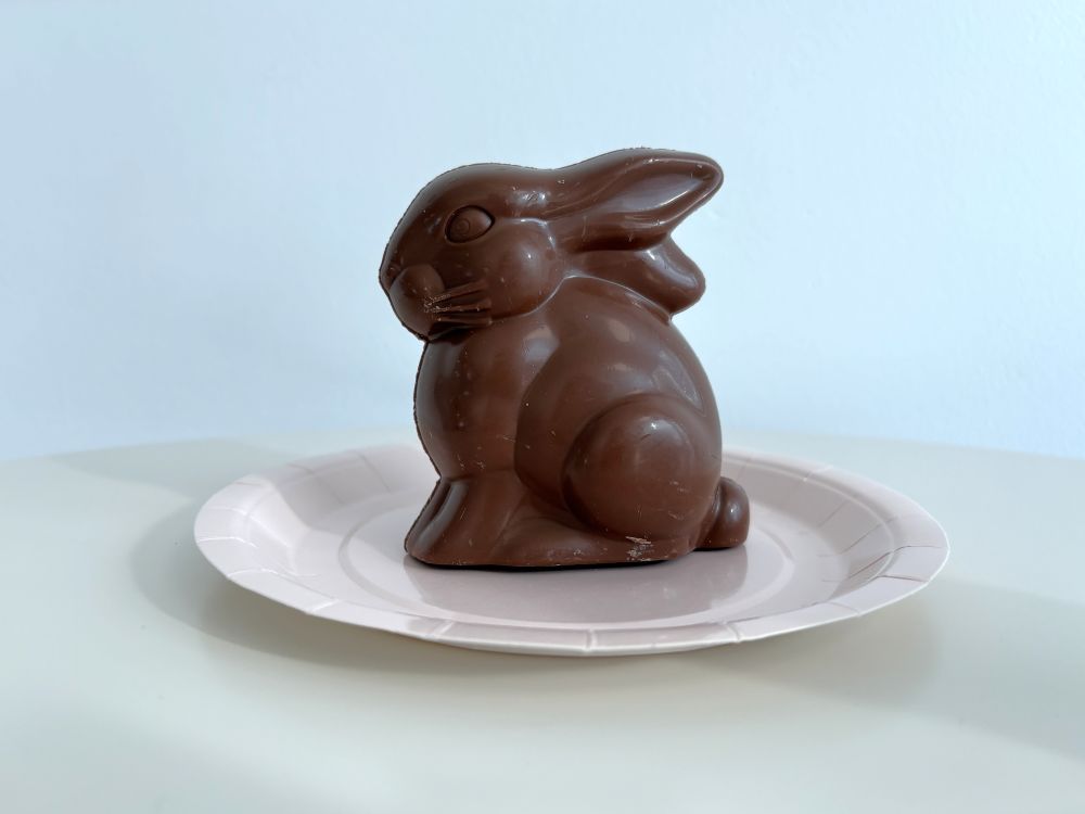 Chocolate bunny on a white paper plate.