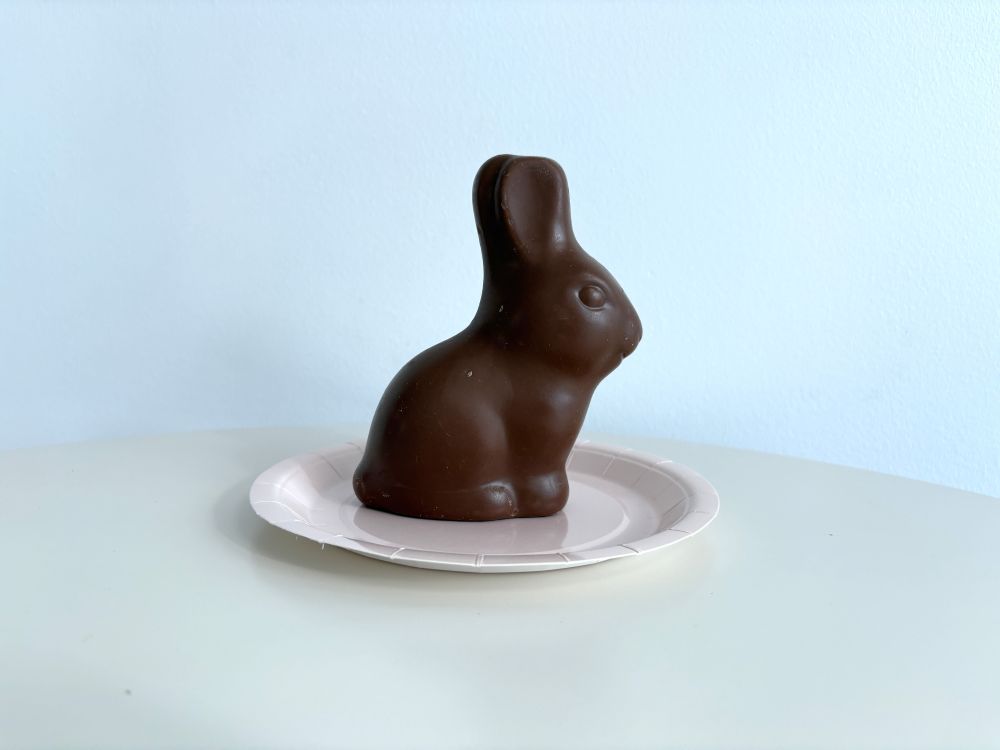 A chocolate bunny sits on a white paper plate against a light blue background.