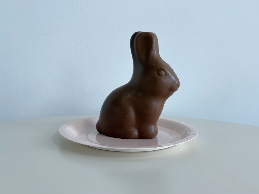 Chocolate bunny on a white paper plate, set on a light-colored table against a pale blue background.